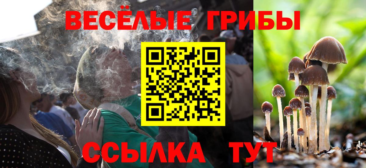 Галлюциногенные грибы Psilocybine cubensis  где продают наркотики  Обь  Вход с VPN 